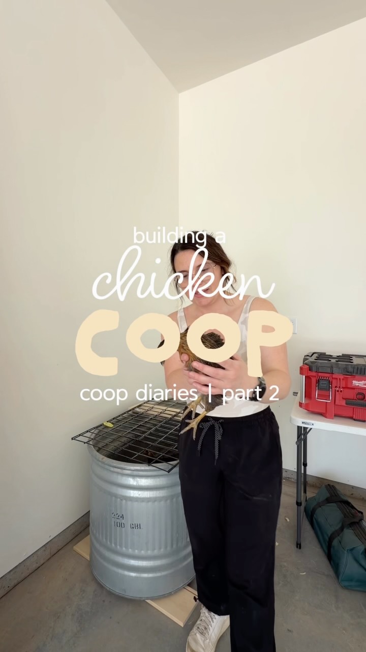 I know… if you’ve been following along, you’ve probably noticed this coop has been finished for a while now. 😅

Truthfully? This project completely drained us. 

Not in a bad way, it was one of our favorite things we’ve ever built!! But between working full-time, raising kids, and spending nearly every free evening and weekend out here, by the time we finished, I didn’t have much left in the tank to relive it all through editing. ☠️

So here I am… almost two months later, finally sharing the footage. Watching it back reminds me that every big dream looks real messy in the middle. There were wrong measurements, countless Menards runs, and plenty of “well… now what?” conversations.

But somehow, it came together! Part 3 is coming!