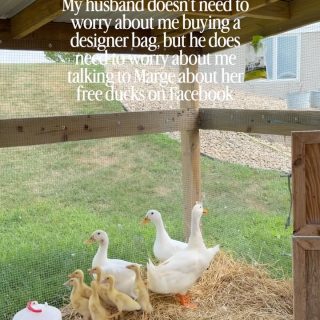 Welcome home babies!!! 

#ducks #ducklingsofinstagram #ducklings #homestead