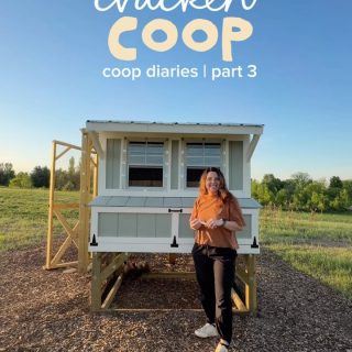 You know what else felt like approximately 47 years?? Editing this series because you know my brain can’t focus on just ONE thing 😅 buuuuut I am happy to report that I do have a few things lined up so your wait time will be short ☠️ 

I have been getting coop questions in my DMs about the plans we used - we used @thirdcoastcraftsman plans. We made a few minor modifications, mostly in the cut lengths and the side we put the run door on, but overall - they were easy to follow and we are sooo happy with the final result! 

#chickencoop #coopbuild #chickens #backyardchickens