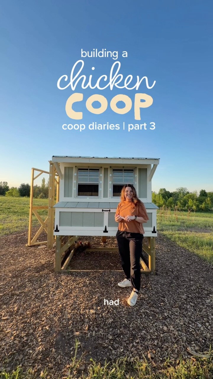 You know what else felt like approximately 47 years?? Editing this series because you know my brain can’t focus on just ONE thing 😅 buuuuut I am happy to report that I do have a few things lined up so your wait time will be short ☠️ 

I have been getting coop questions in my DMs about the plans we used - we used @thirdcoastcraftsman plans. We made a few minor modifications, mostly in the cut lengths and the side we put the run door on, but overall - they were easy to follow and we are sooo happy with the final result! 

#chickencoop #coopbuild #chickens #backyardchickens