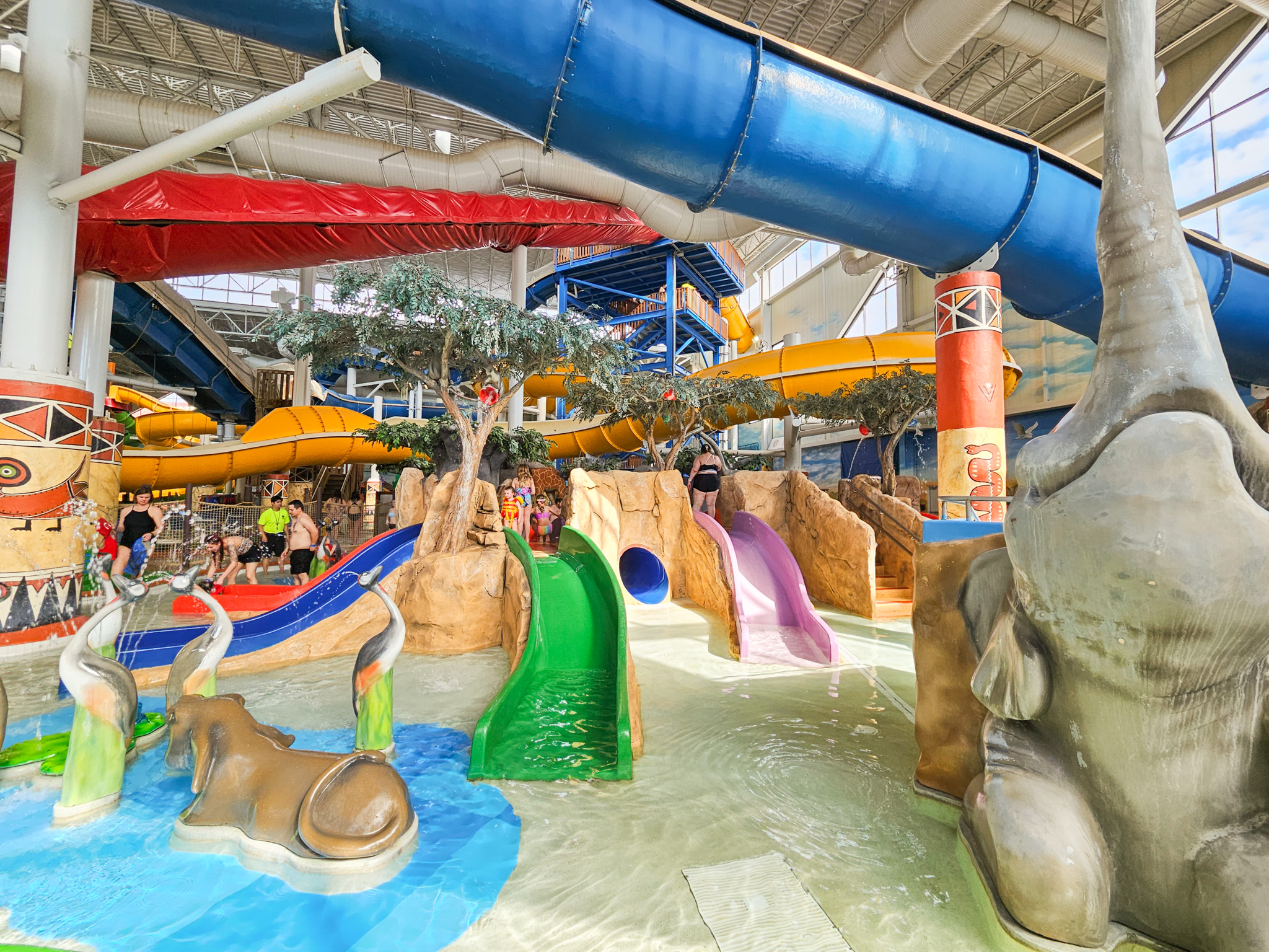 Extraordinary Kalahari Vs Great Wolf Lodge Photos