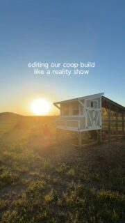 TBH this coop build felt like a reality tv show sometimes 😆
Approximately 847 trips to Menards, the “this is our last day building” that somehow turned into five more, and the many moments we questioned our life decisions thinking getting chickens two weeks into moving in was a good idea. Delulu I tell you what ☠️
But, against all odds… we finished the coop and somehow still like each other 😂 and if you follow me, you know that the coop has been finished for almost two months now (and she’s beautiful!!) I’m V behind on editing, but you can fully expect a part 2, 3, and 4 coming your way - just don’t hold your breath lollllll