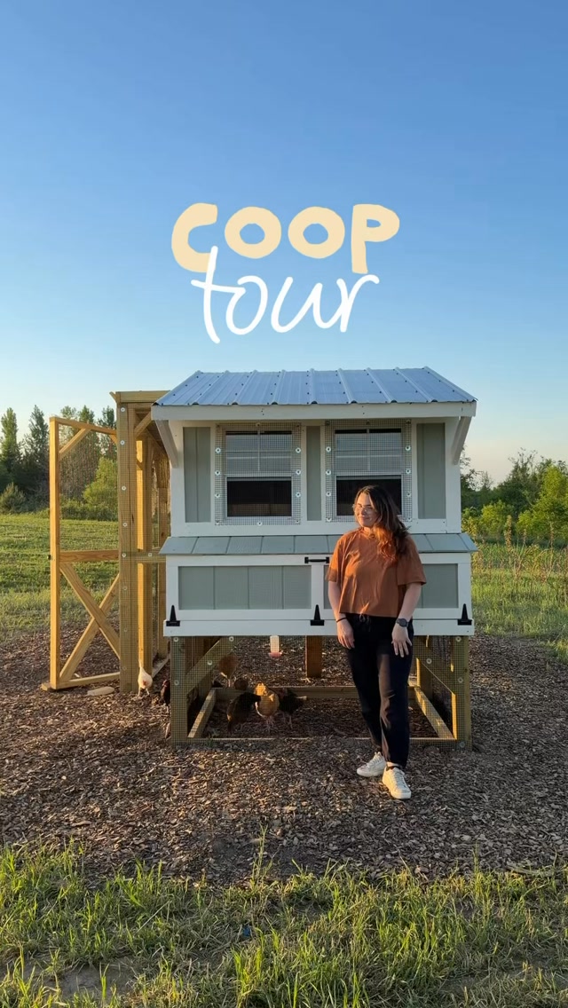 SHE’S FINALLY DONE. 🥹🐓🤍
Well she was done almost two months ago but still 😅
After what felt like months of building, painting, approximately 847 trips to Menards, changing our minds, figuring things out as we went and spending basically every free evening and weekend working on this thing… our chicken coop is officially complete.
And I’m kind of obsessed with her. 😂
One of my favorite finishing touches was adding the @runchickendoor eternal automatic coop door. Because as much as I love this little chicken era of ours, I also love not having to walk outside every single morning and night to open and close the coop. 😂 It’s solar-powered, aluminum, predator-resistant, and opens + closes automatically, which basically means one less chicken chore for us AND a little extra peace of mind that the girls are tucked in safely at night. 🙌🏼
We built this entire thing ourselves using plans from @thirdcoastcraftsman and I still can’t believe this started as a pile of lumber in our driveway.
All those weekends of work were worth it.
Now please excuse me while I stand at the dining room window drinking coffee, and admiring our chickens in their tiny dream house 🐓